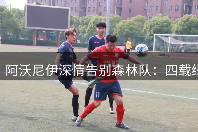 阿沃尼伊深情告别森林队：四载绿荫情谊永存心间